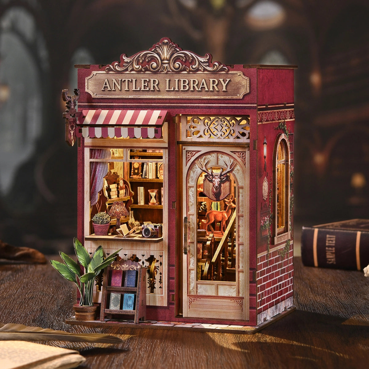 Antler Library mit dekorierter Seitenwand und Schaufenster