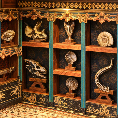 Nahansicht der Regale mit Schädeln und Fossilien