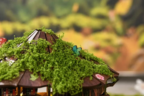 Book Nook - Forest Tea Book Club