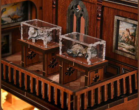 Book Nook - Fossil Museum