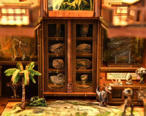 Book Nook - Fossil Museum