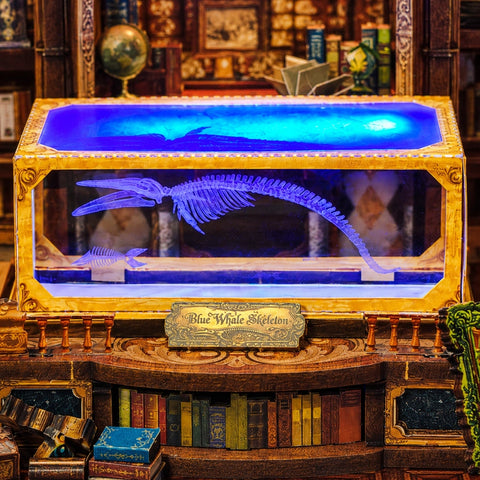 Blau beleuchtete Vitrine mit Skelettmodell und goldfarbenem Rahmen